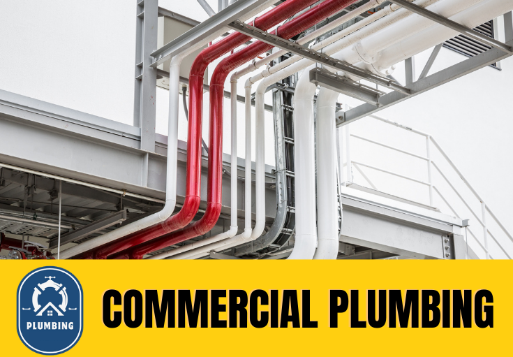 commercial plumbing West Kingsdown