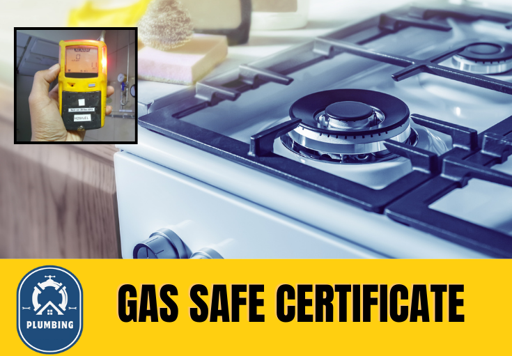 gas safe certificate West Kingsdown